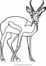 animales/animales_varios/antilope_1.JPG