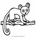 animales/animales_varios/lemur_9.JPG