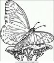 animales/mariposas/mariposas_044.JPG