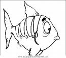 animales/peces/peces_079.JPG