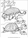 animales/tortugas/tortugas_35.JPG