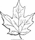 mixtos/jardin/maple leaf.JPG